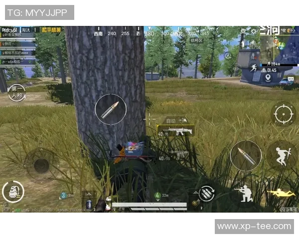 和平精英分析：BLG区域防守策略的成功与不足之处探讨