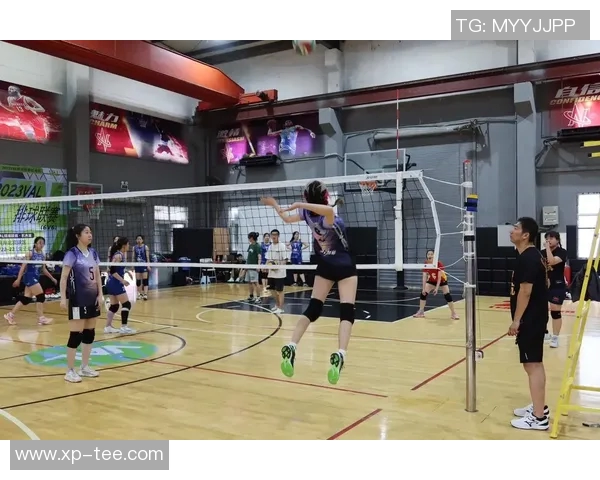 杭州排球队的灵活性探讨与训练策略分析