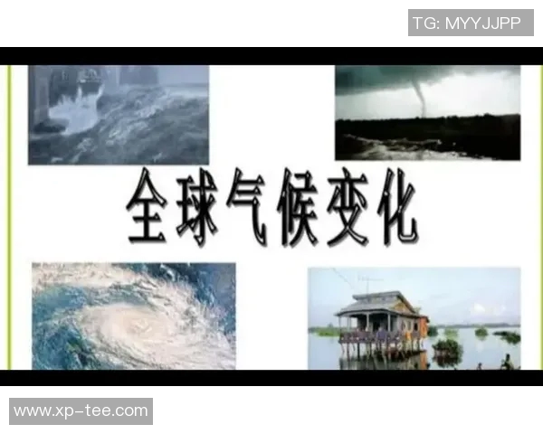 全球气候变化加剧 预计未来十年极端天气事件频发专家警告需加强应对措施